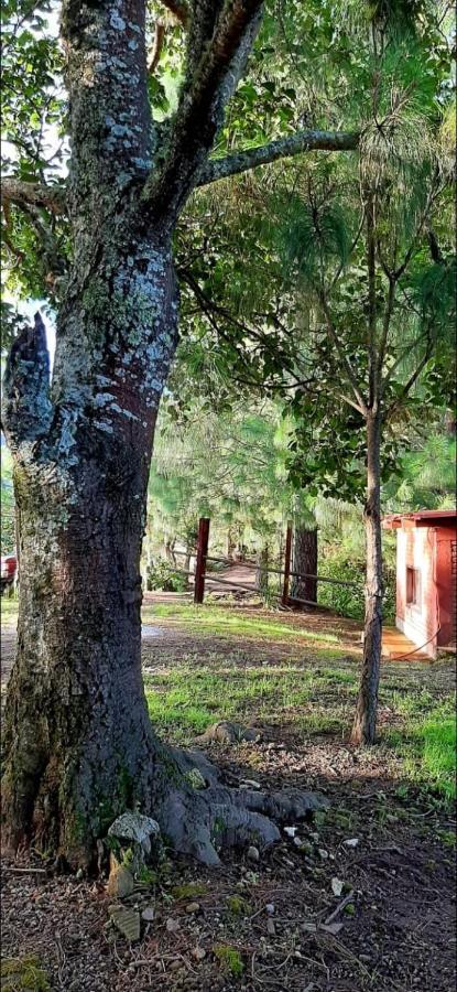Cabana La Via Lactea El Pacifico Ngoại thất bức ảnh