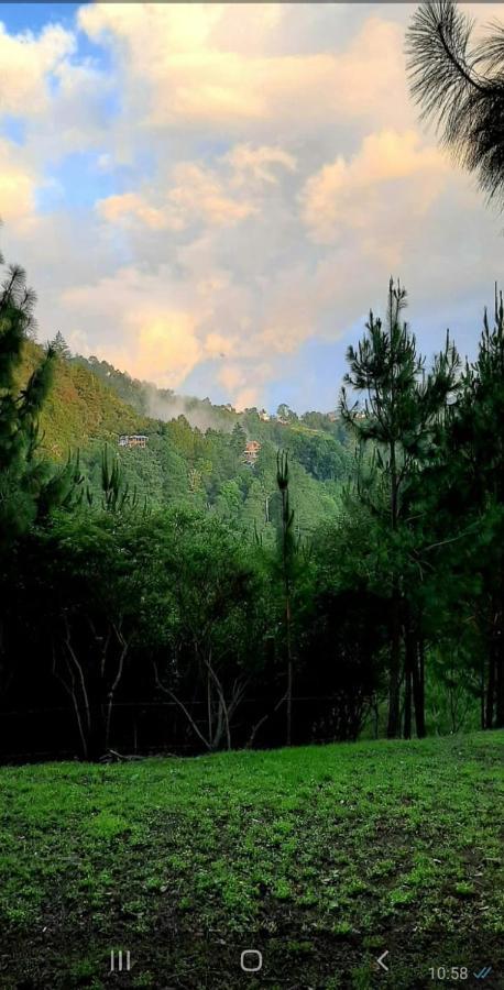 Cabana La Via Lactea El Pacifico Ngoại thất bức ảnh